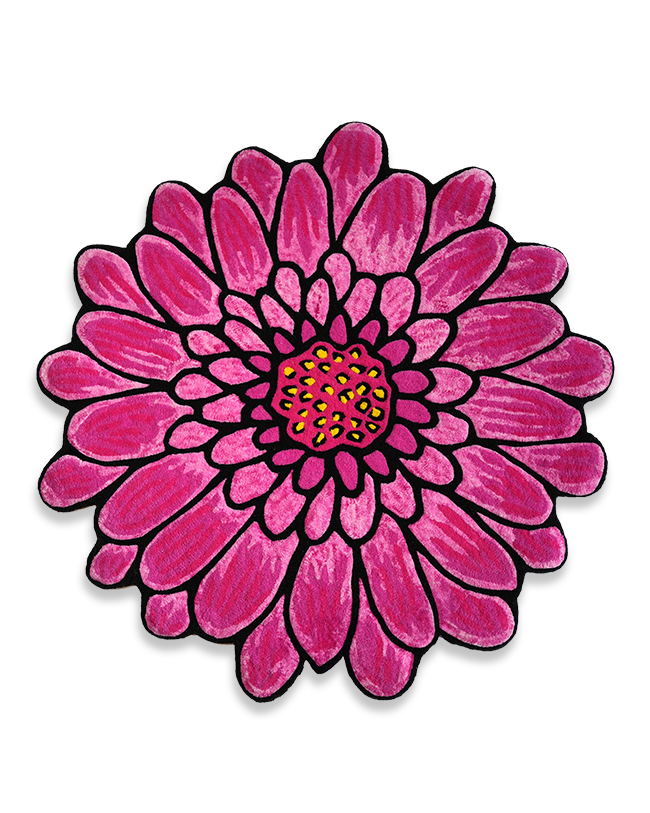 Gerber Daisy
